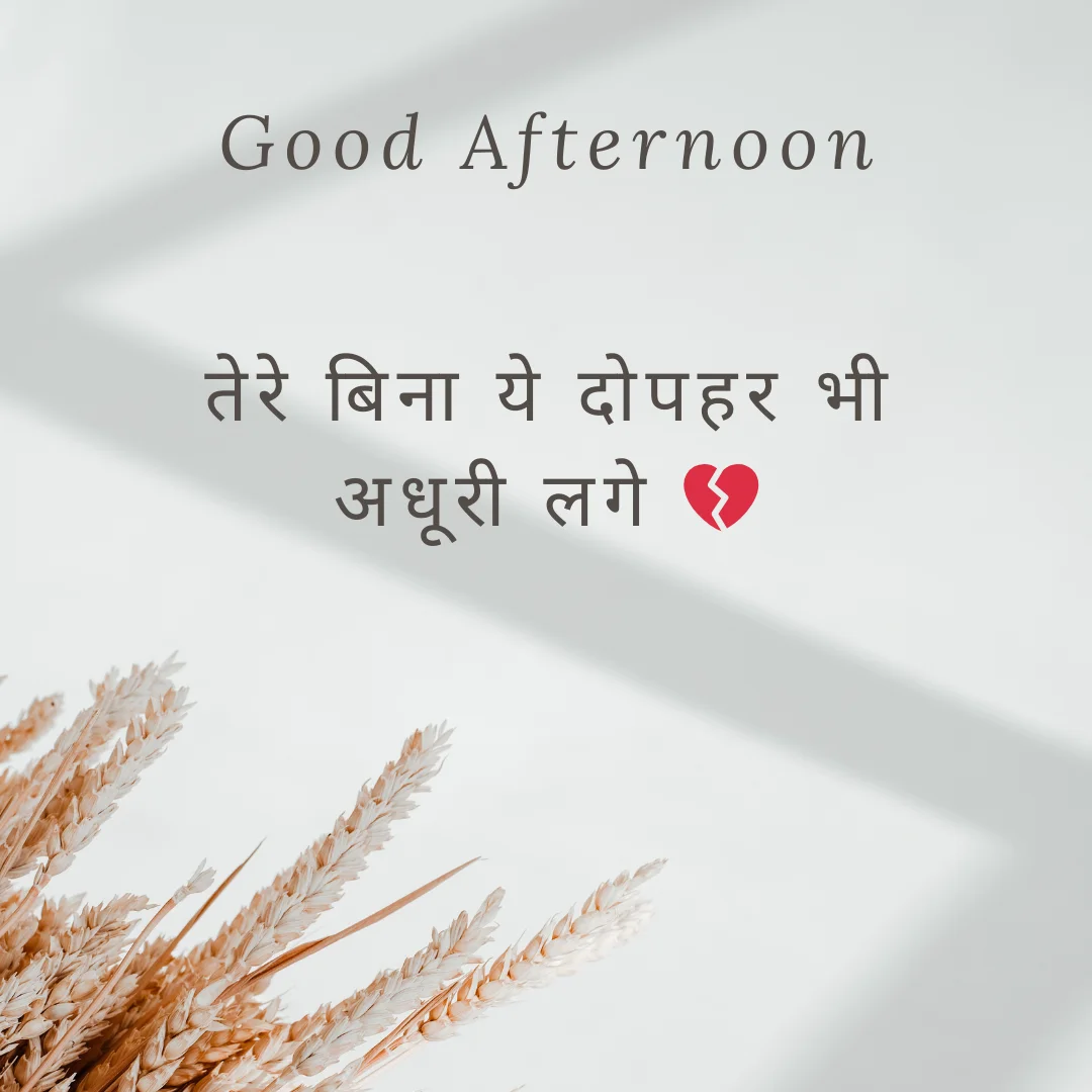 शुशुभ दोपहर शायरी | Good Afternoon Shayari in Hindi for Impress People 2 Good Afternoon Shayari in hindi
