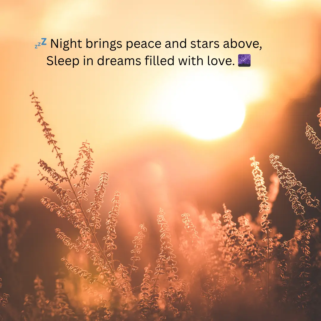 Romantic Good Night Shayari and Quotes in English For Sweet Dreams 16 Good Night Shayari in English