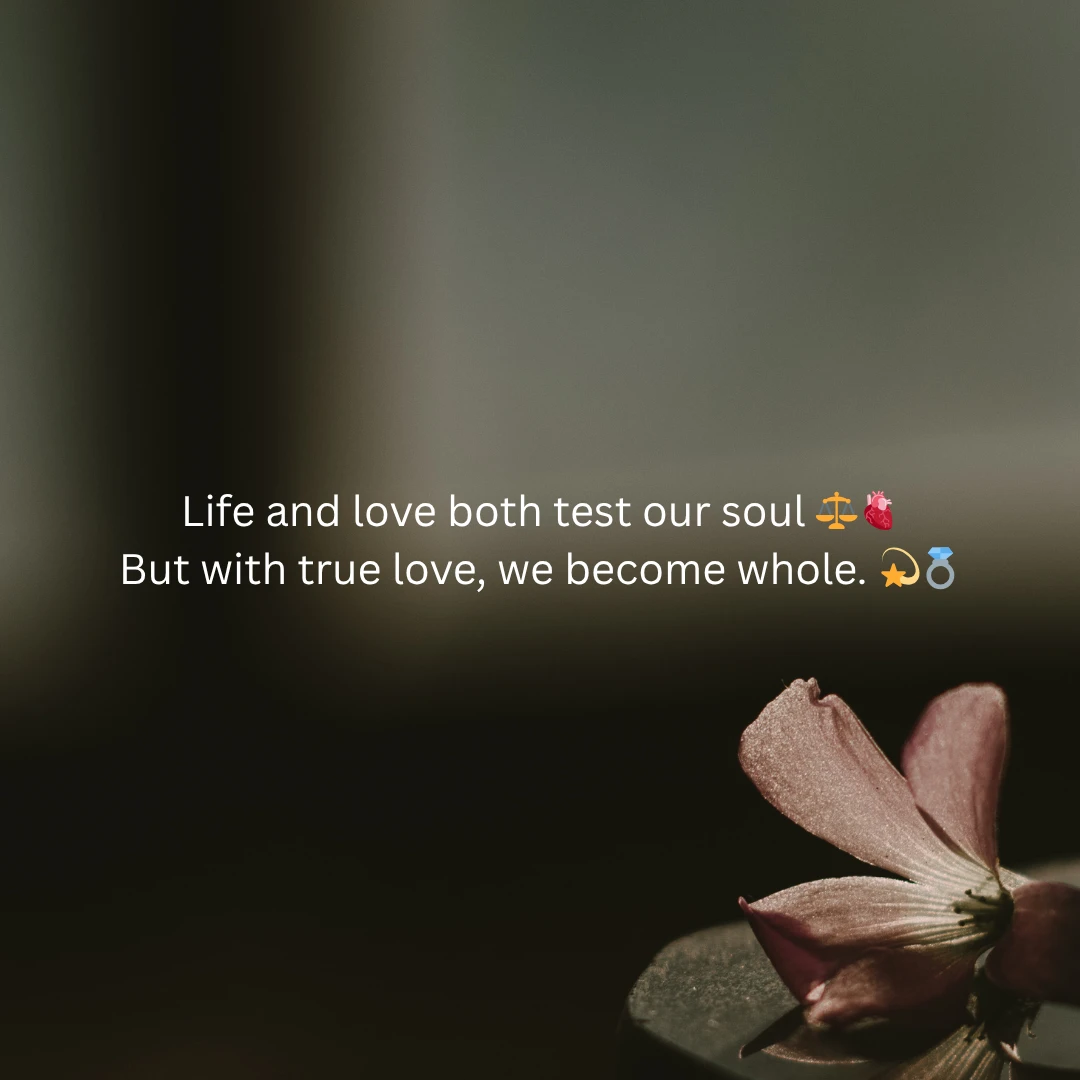 English Shayari On Life For Love One To Inspiring The Movements 14 English Shayari On Life