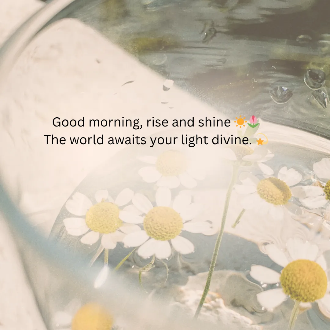 Romantic Good Morning Shayari in English to Impres Girlfriend 1 Good Morning Shayari in English