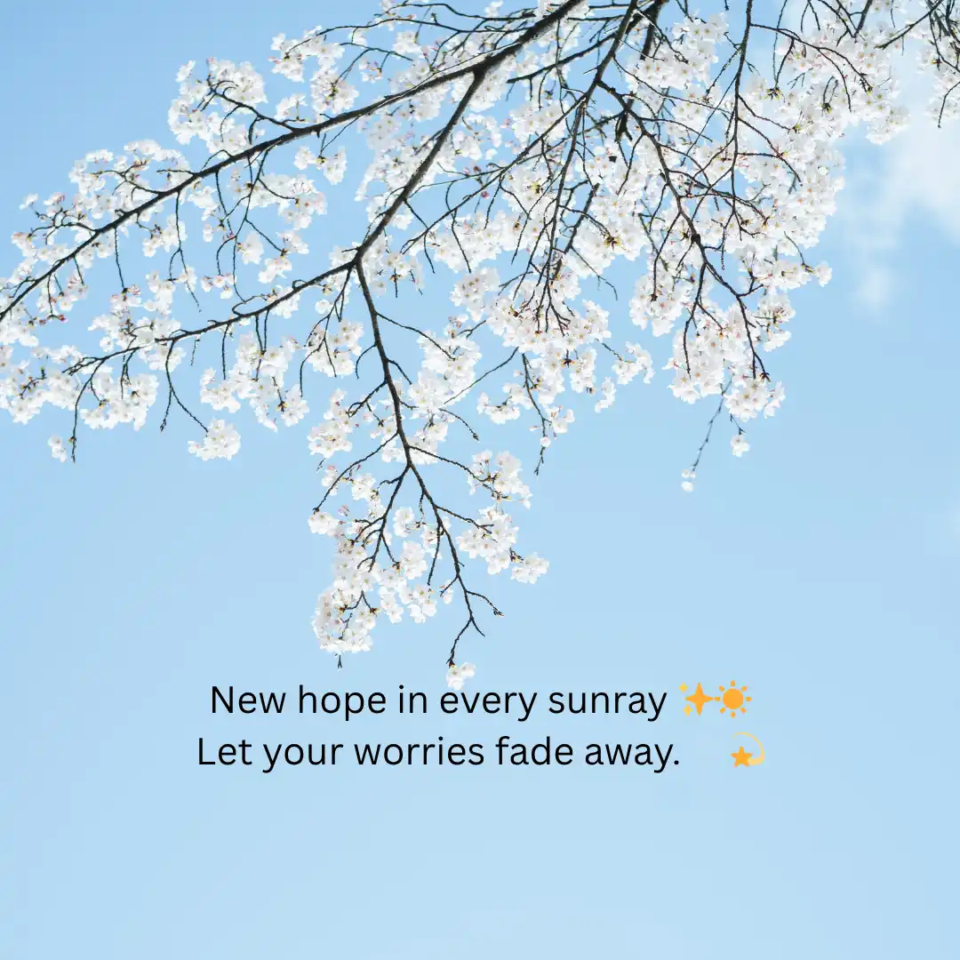 Romantic Good Morning Shayari in English to Impres Girlfriend 4 Good Morning Shayari in English