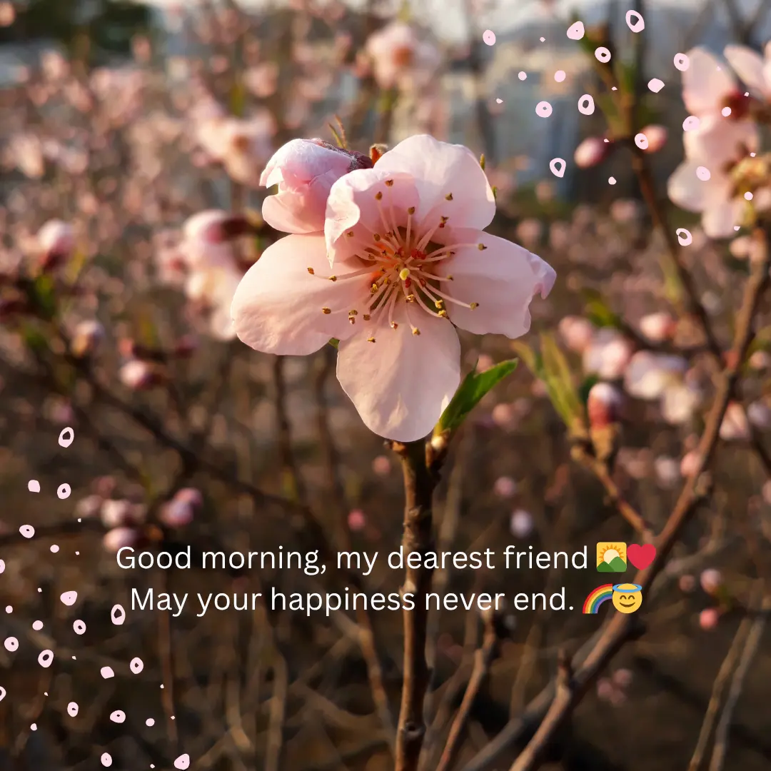 Romantic Good Morning Shayari in English to Impres Girlfriend 5 Good Morning Shayari in English