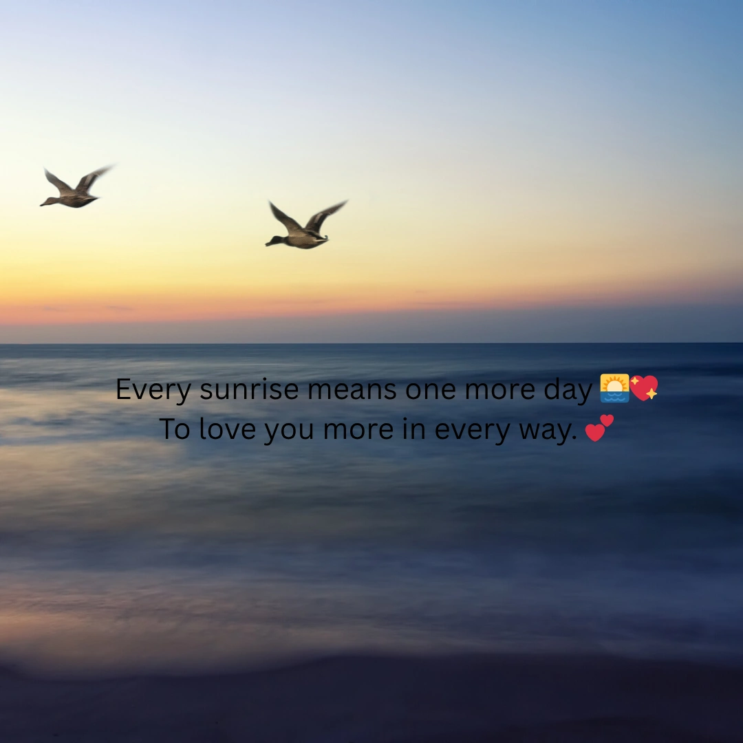 Romantic Good Morning Shayari in English to Impres Girlfriend 12 Good Morning Shayari in English