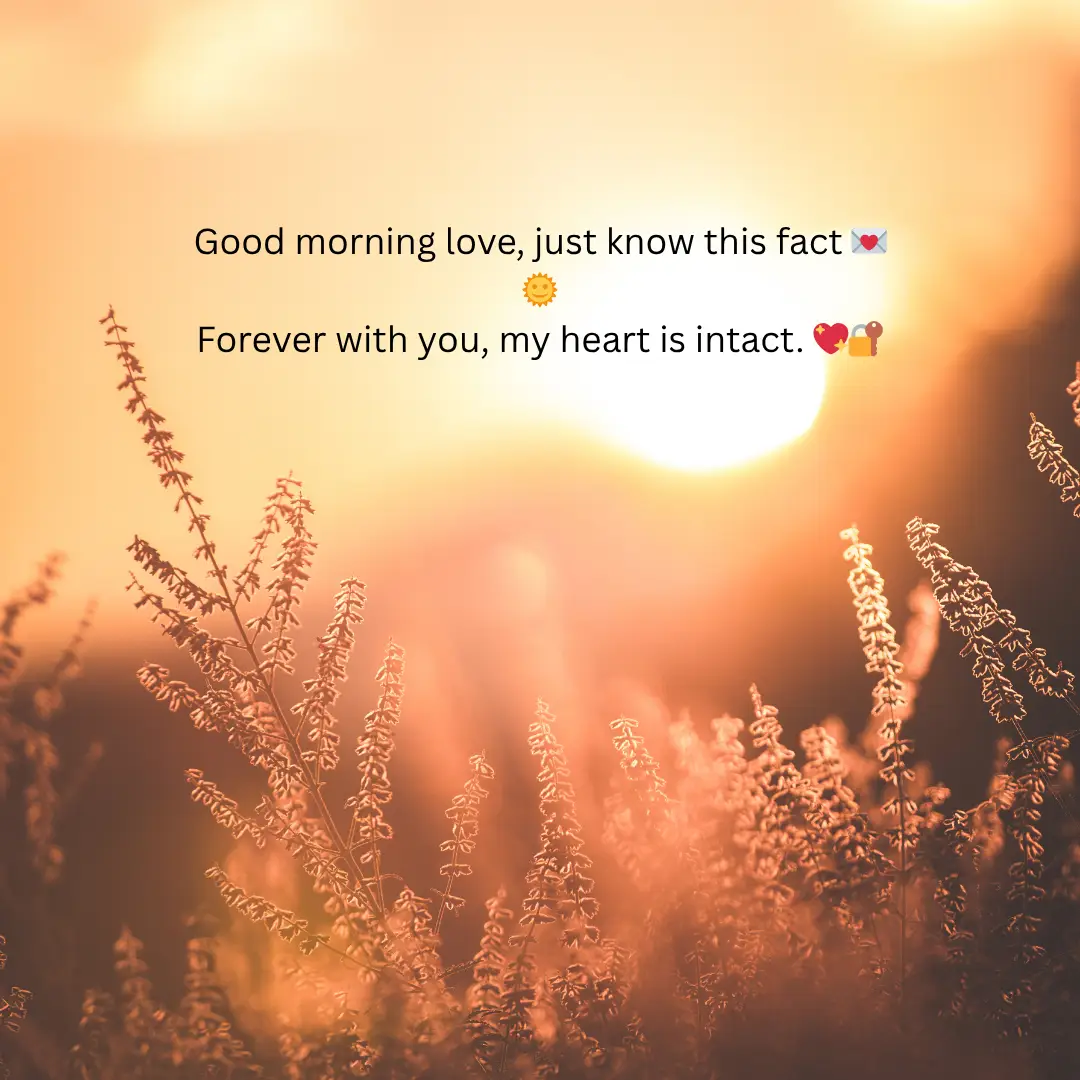 Romantic Good Morning Shayari in English to Impres Girlfriend 13 Good Morning Shayari in English