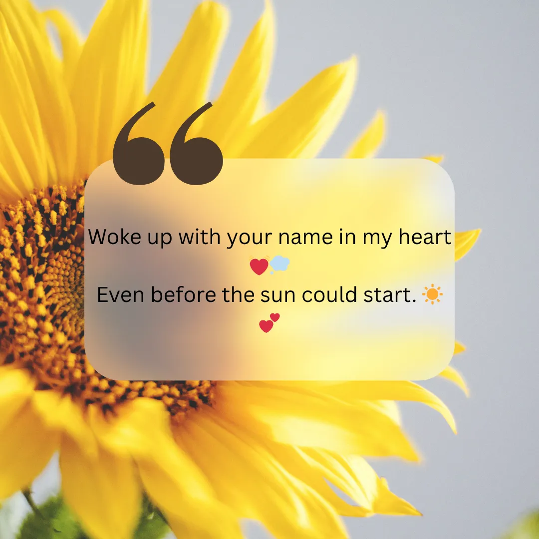 Romantic Good Morning Shayari in English to Impres Girlfriend 19 Good Morning Shayari in English