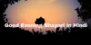 शाम की मिठास – Good Evening Shayari for Nature Lover in Hindi - Post Thumbnail