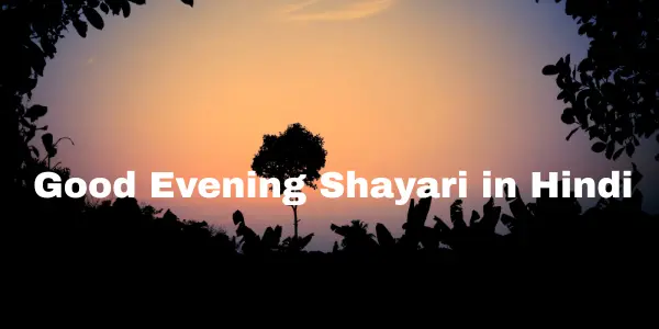शाम की मिठास – Good Evening Shayari for Nature Lover in Hindi