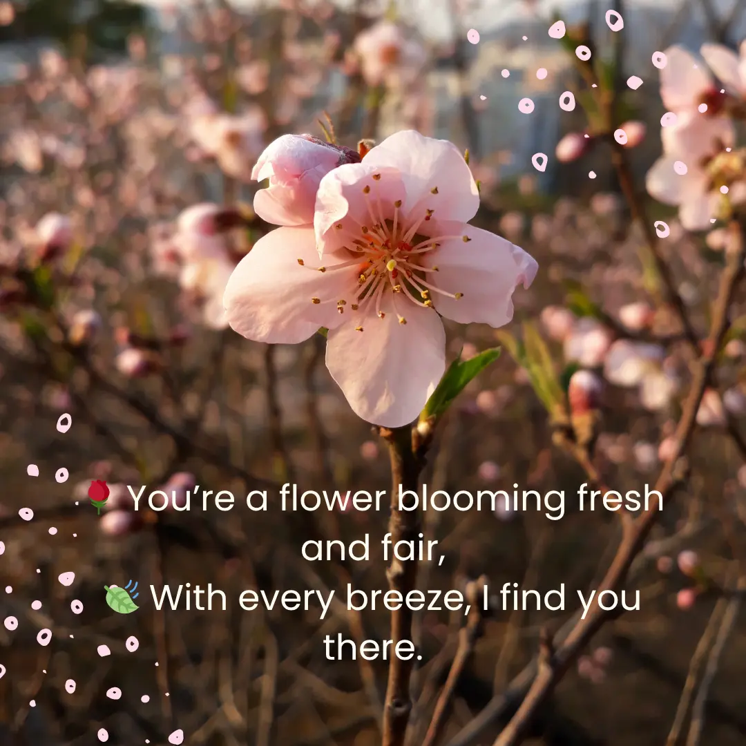 Romantic Good Noon Love Shayari & Quotes in English 6 Good Morning Shayari in English