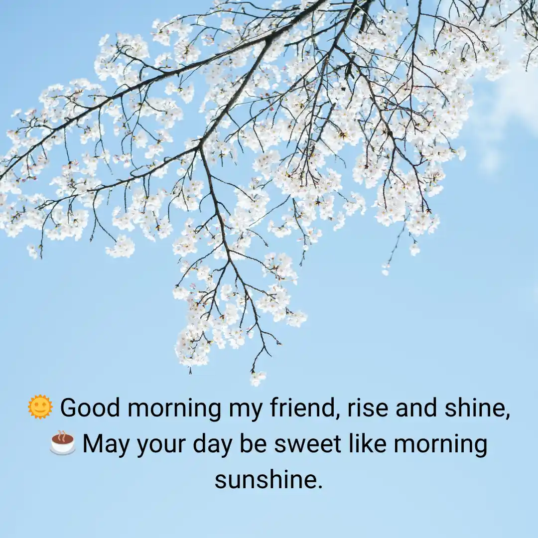 Romantic Good Noon Love Shayari & Quotes in English 7 Good Morning Shayari in English