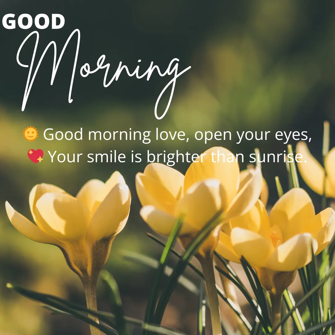 Romantic Good Noon Love Shayari & Quotes in English 13 Good Morning Shayari in English