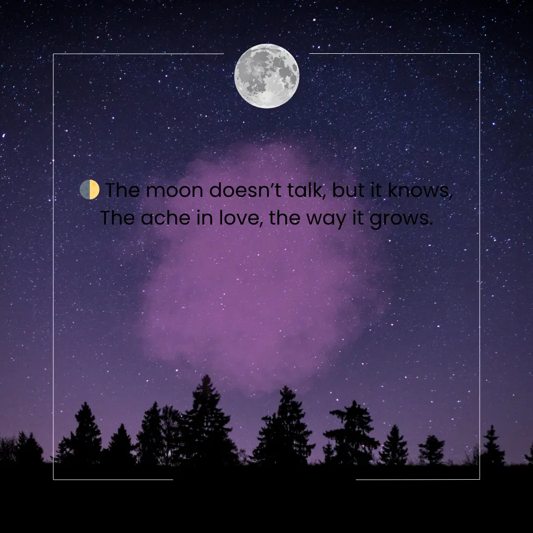 Shayari and Quotes on Sky in English That Will Make Your Day 5 Shayari on Sky in English