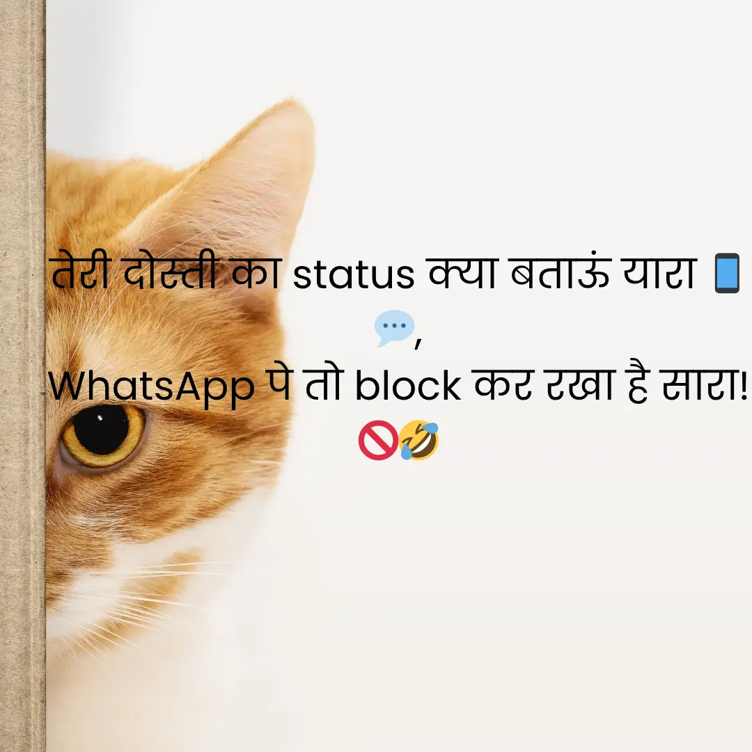 दोस्तों के लिए मज़ेदार शायरी | Funny Shayari in Hindi for Friends 2 Funny Shayari in Hindi for Friends
