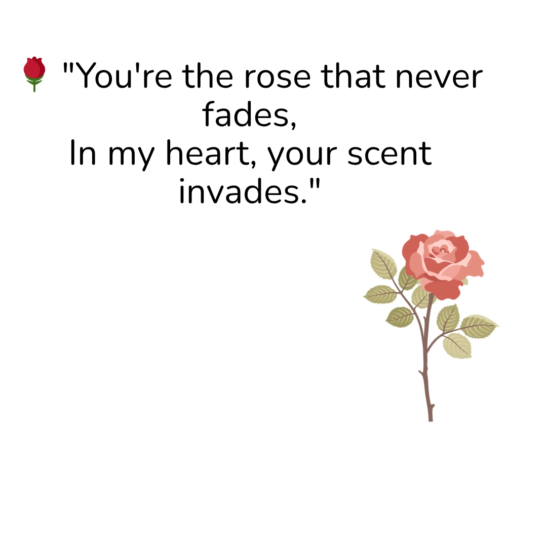 Shayari on Rose in English That Inspire You For Secrate Love 4 Shayari on Rose in English