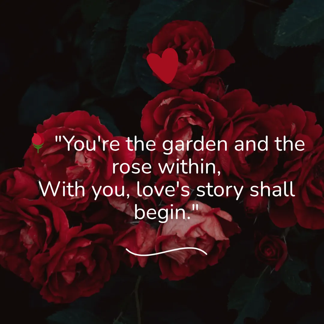 Shayari on Rose in English That Inspire You For Secrate Love 5 Shayari on Rose in English