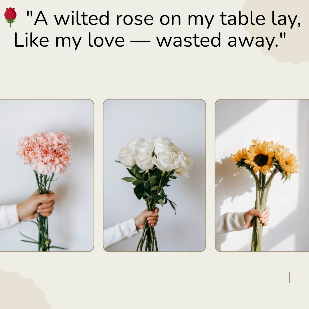 Shayari on Rose in English That Inspire You For Secrate Love 9 Shayari on Rose in English