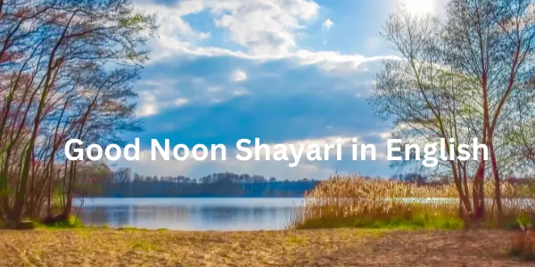 Romantic Good Noon Love Shayari & Quotes in English