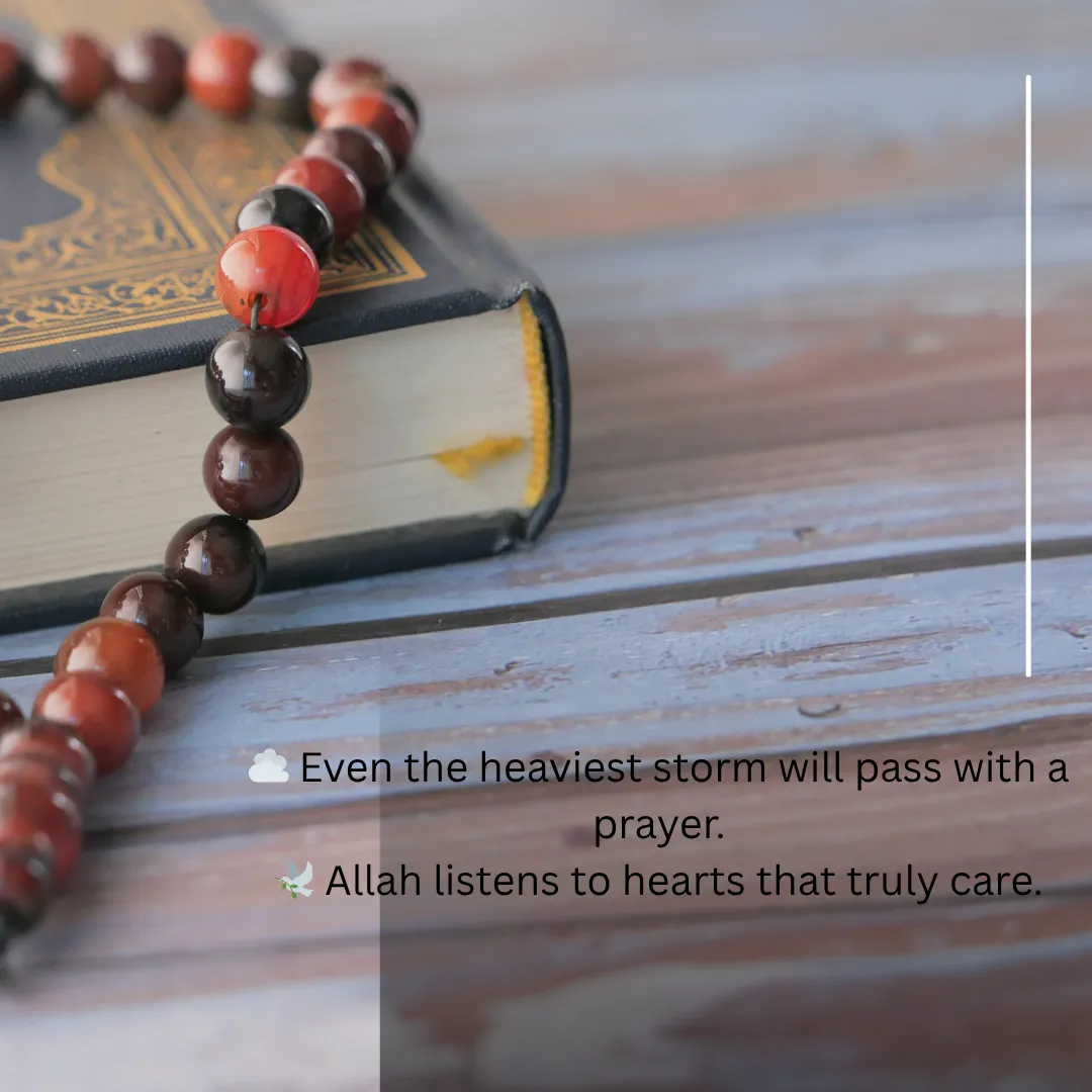 Islamic Quotes & Shayari in English Learn Islam And Love Allah 2 Islamic Shayari in English