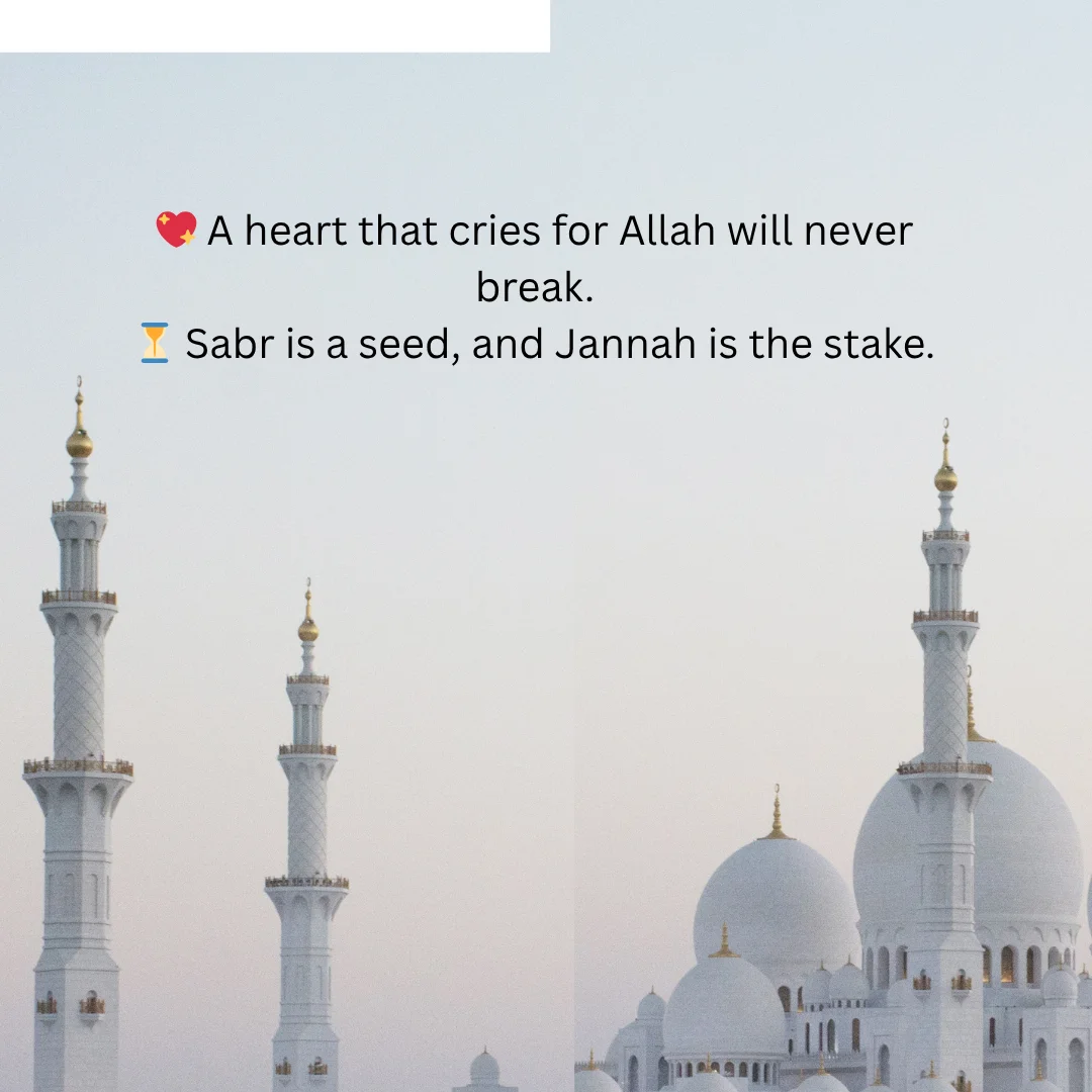 Islamic Quotes & Shayari in English Learn Islam And Love Allah 3 Islamic Shayari in English