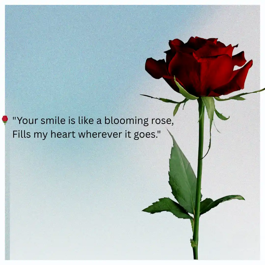 Shayari on Rose in English That Inspire You For Secrate Love 1 Shayari on Rose in English