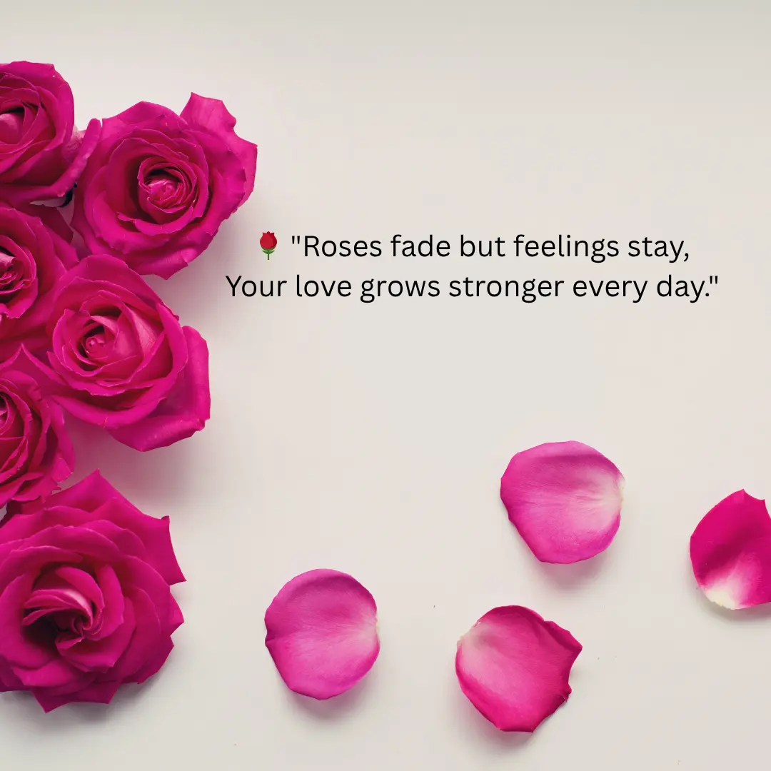 Shayari on Rose in English That Inspire You For Secrate Love 2 Shayari on Rose in English