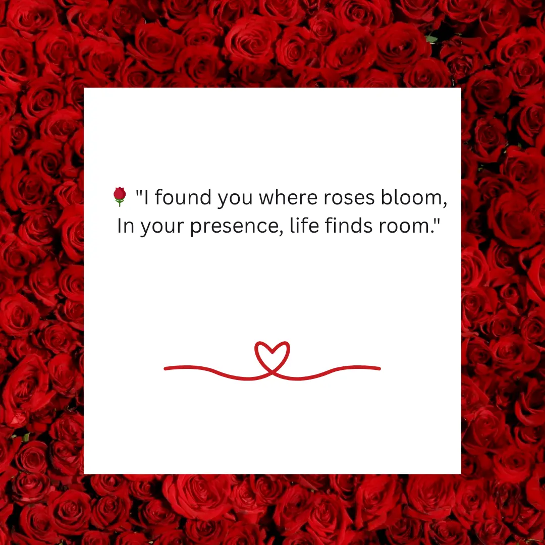 Shayari on Rose in English That Inspire You For Secrate Love 3 Shayari on Rose in English