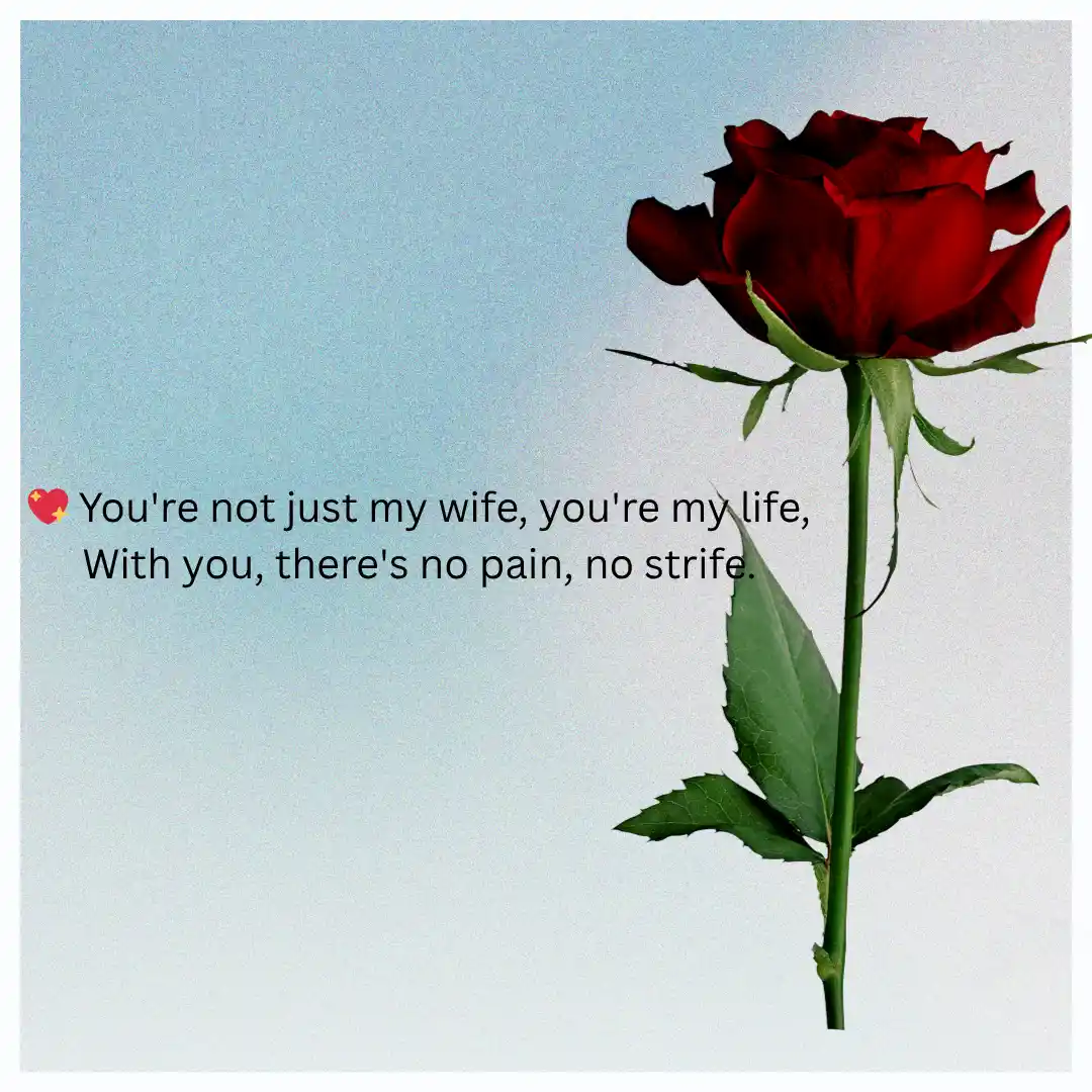 Romantic Shayari for Wife in English for Impress Her Beauty 1 Shayari for Wife in English